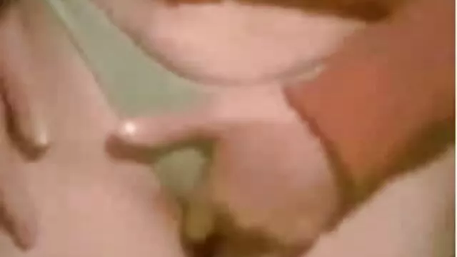 تقدیر گربه باورنکردنی فیلم سوپر جوراب