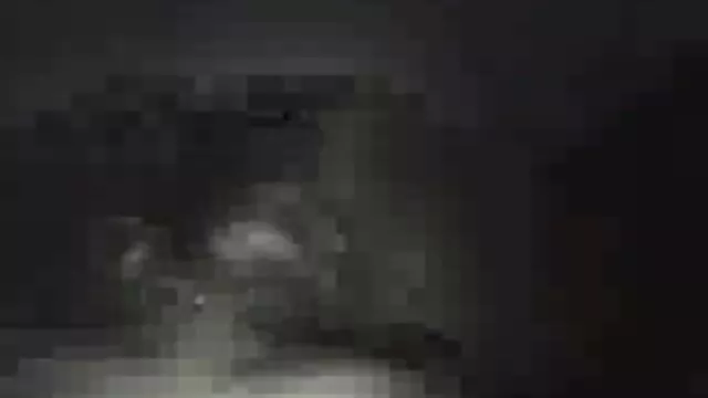 لاتین با الاغ بزرگ گربه خود کانال فیلم سوپر الکسیس را ماساژ می دهد